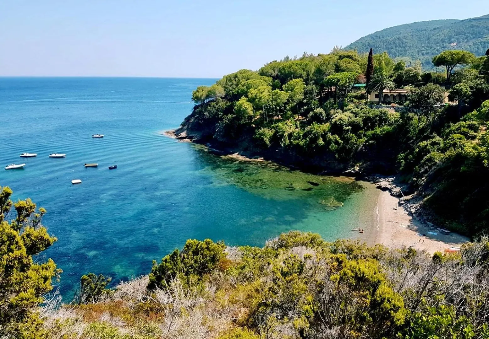 Casale La Magnolia - Capo Perla Apartments Capoliveri  Italy