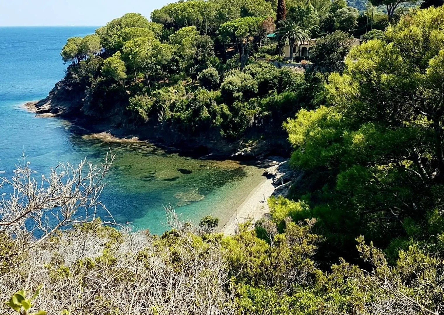 Casale La Magnolia - Capo Perla Apartments Capoliveri  Capoliveri (Isola d'Elba)